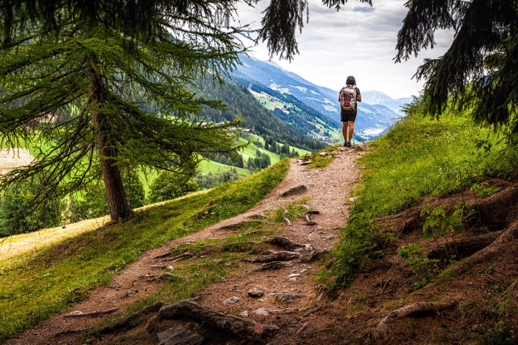 Wanderweg im Ultental